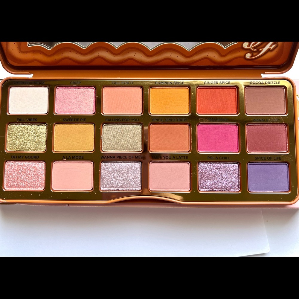 Too Faced Pumpkin Spice eye shadow pallet